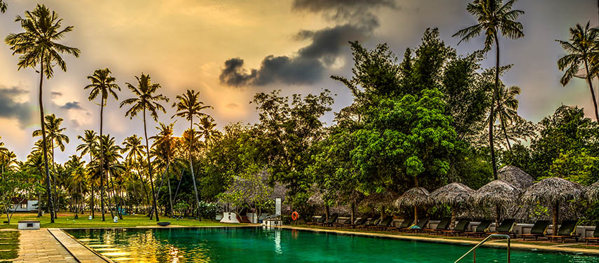 Enjoy nature's raw beauty at Marari Beach Resort