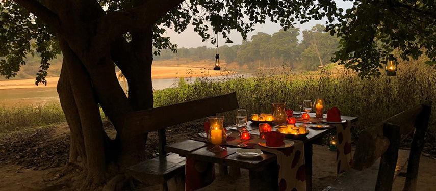 An Indian wildlife fairytale awaits at Flame of the Forest