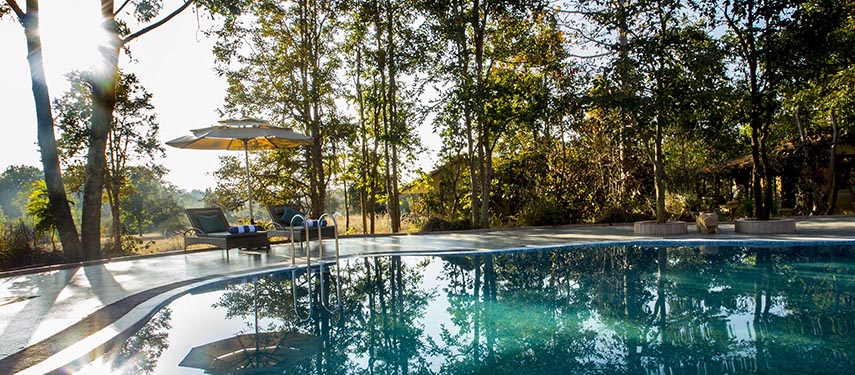 Refresh in the lodge's palatial pool in the forest-like setting at Singinawa Jungle Lodge