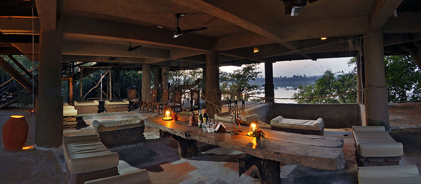 Search for all the wildlife within at Ken River Lodge, Panna National Park