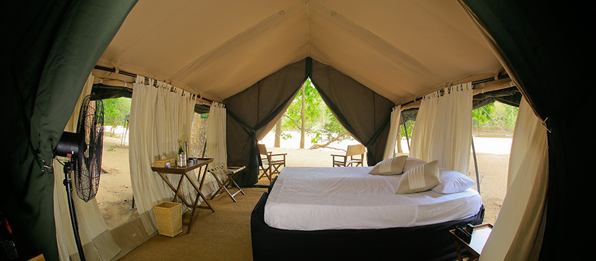 Head out on an authentic safari wilderness experience at Leopard Trails Yala Camp