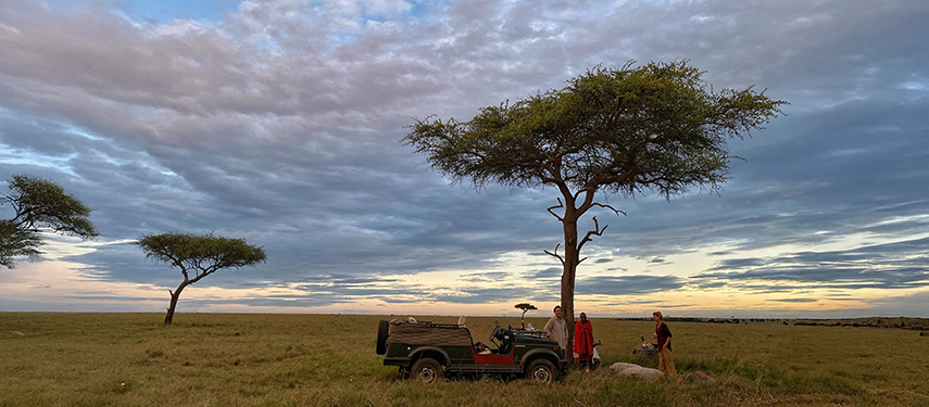 Guests pause beside a lone tree during a scenic game drive under dramatic evening skies.