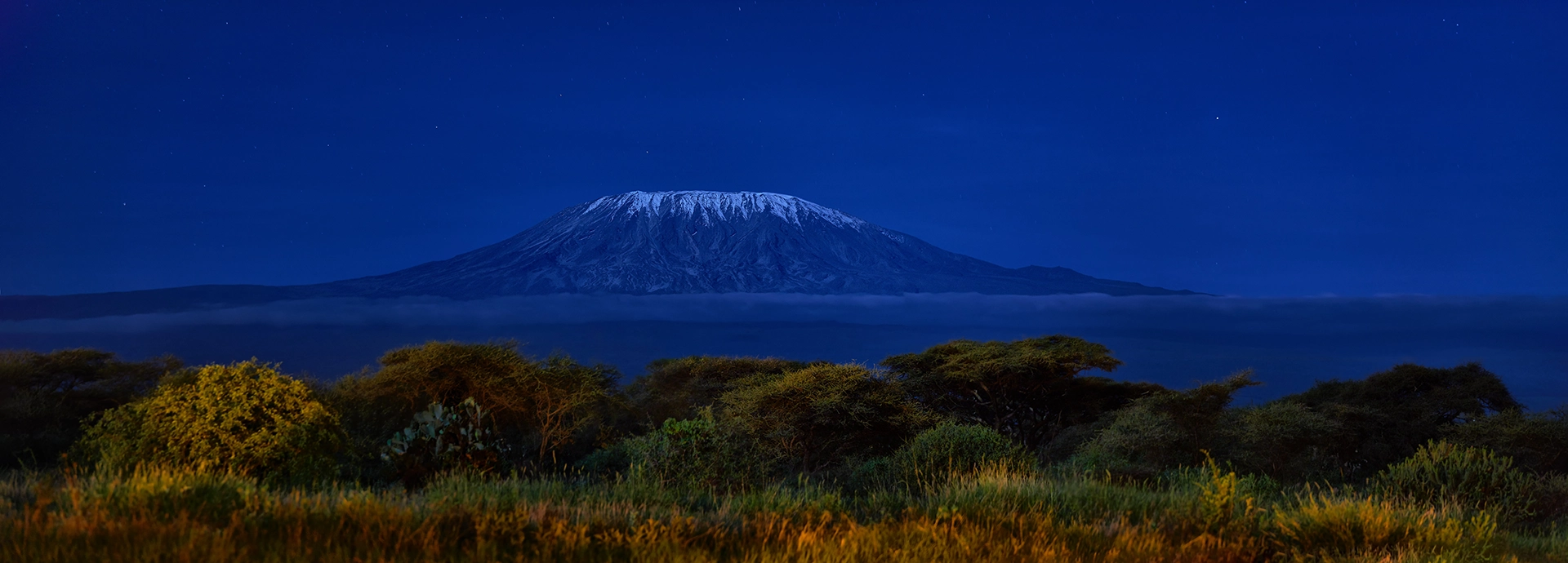 Mount Kilimanjaro illuminated under a deep blue night sky, framed by trees and savannah in northern Tanzania.