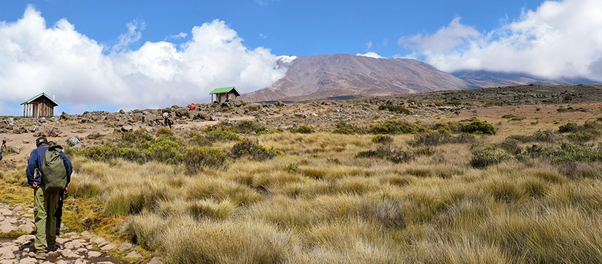 Hiker ascending an open alpine moorland trail toward Kilimanjaro with stone huts and a rugged peak ahead.