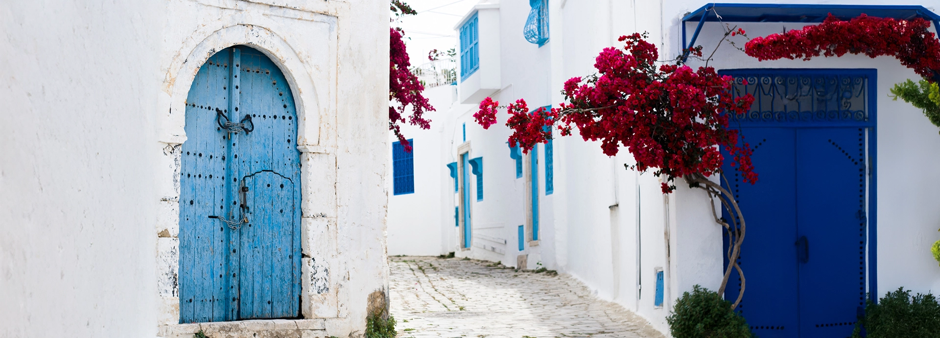 Quaint cobbled alley in Sidi Bou Said framed by white walls, bright blue doors, and vivid red bougainvillea.