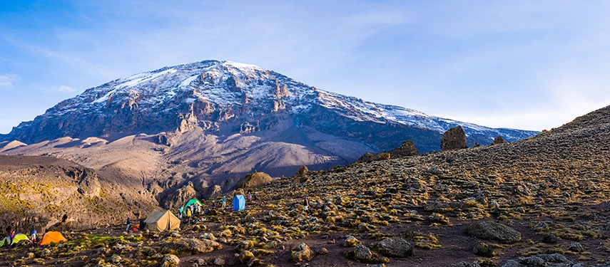 Tents scattered at a high-altitude camp on Kilimanjaro beneath a vast snow-covered volcanic summit.