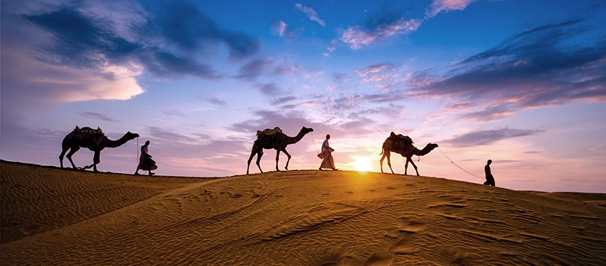 Camel caravan crossing the Thar Desert at sunset, silhouetted against a vivid Rajasthani sky. 