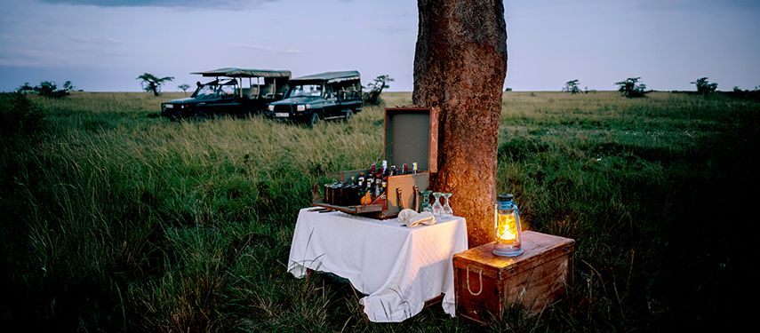A lantern-lit bush sundowner setup beneath a tree with safari vehicles in the background.