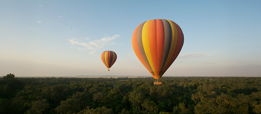 Two colourful hot air balloons float above the treetops at sunrise in the Masai Mara.