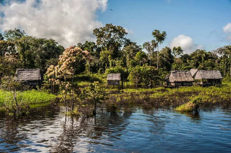 Traditional stilted huts beside the reflective waters of the Peruvian Amazon surrounded by dense tropical forest.