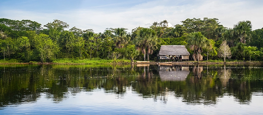 A thatched riverside dwelling reflecting on still water, nestled among lush palms and rainforest vegetation.