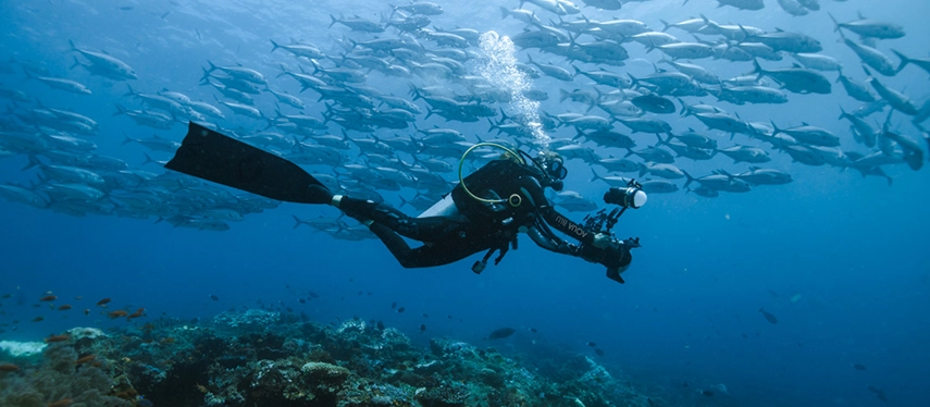 Scuba diver photographs a school of fish swirling above colourful coral formations in the clear waters of Raja Ampat.