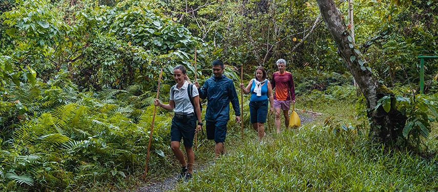 Guests hike along a lush jungle trail guided by a naturalist, surrounded by ferns, vines and tropical greenery.