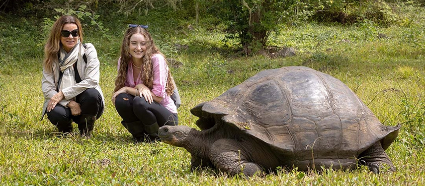 Two travellers observe a giant Galápagos tortoise grazing in lush highland grass, a serene encounter with the islands’ most iconic species.