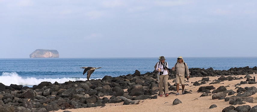 Two travellers walk across a rocky Galápagos shoreline, cameras in hand, as a seabird soars overhead and an islet rises in the distance.
