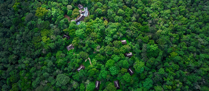 Aerial view of Primate Lodge Kibale showing thatched cottages scattered within dense tropical rainforest.