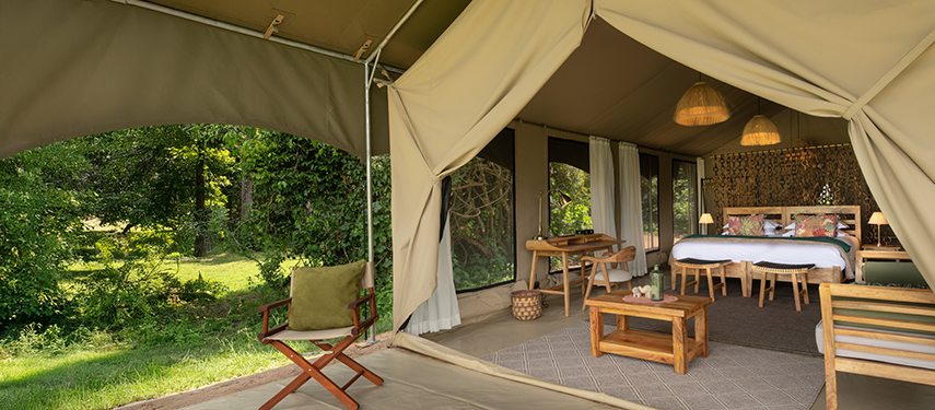 Entrance to a guest tent with lounge chairs and lush greenery beyond.