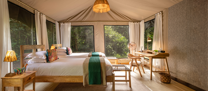 Twin-bedded room in a family tent with wooden furnishings, soft lighting, and views of the bush beyond.