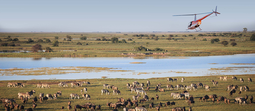 A helicopter flies over a river and plains filled with zebras and wildebeest near Jack’s Private Camp.