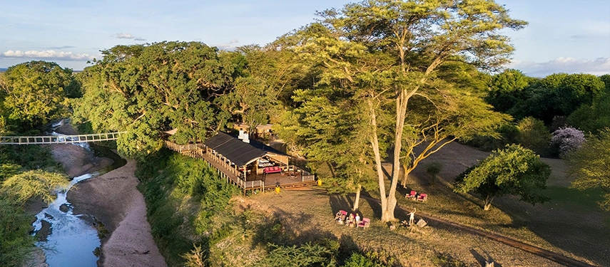 Aerial view of Basecamp Masai Mara’s riverside camp nestled among trees, with a suspension bridge crossing the Talek River.