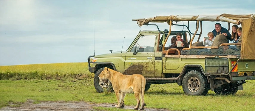Tourists in a safari jeep watching a lioness up close in the Masai Mara, highlighting thrilling wildlife encounters at Basecamp Masai Mara.