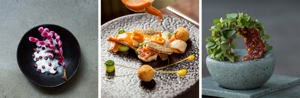 Spectacular fine dining cuisine by Boragó, Chile