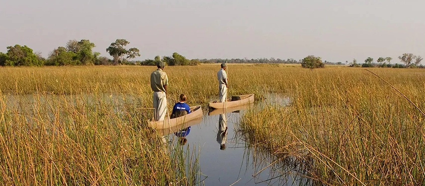 Traditional mokoro excursion through the Okavango Delta’s reeds with Kanana guides.