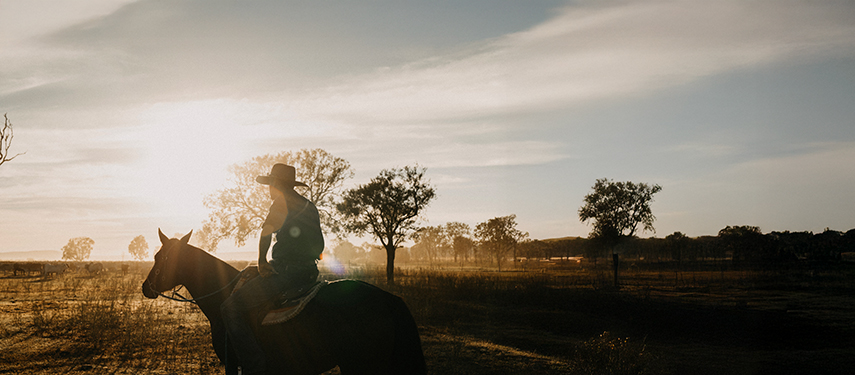 Rider silhouetted against the sunrise on horseback