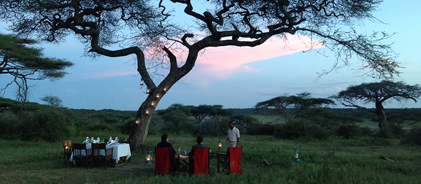 Intimate bush dinner beneath an acacia tree with lanterns glowing in the African wilderness.