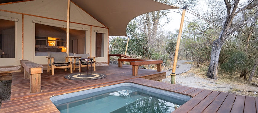 Private tent deck with plunge pool overlooking the woodland at Cha Cha Metsi.