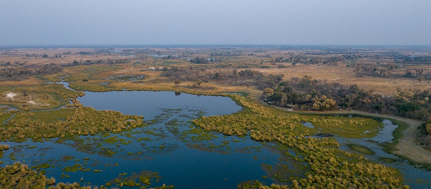 Wide aerial panorama of the Okavango floodplains surrounding Cha Cha Metsi.