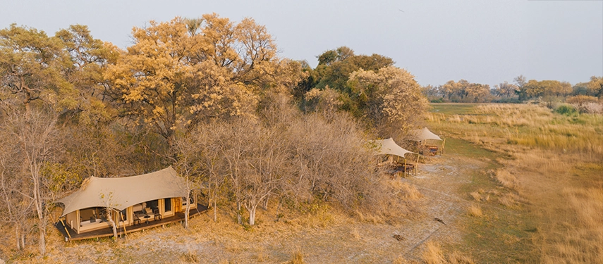 Aerial view of Cha Cha Metsi’s tents tucked among trees beside the Delta.