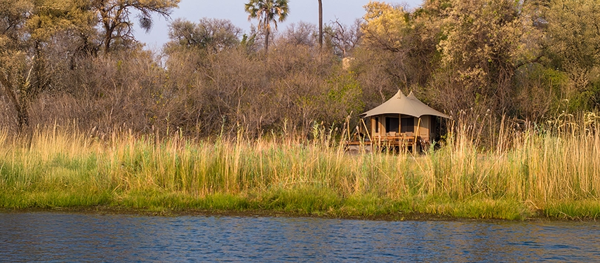 Riverside tent surrounded by reeds and trees at Cha Cha Metsi.