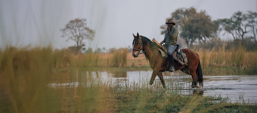 Horse riding guide crossing a Delta channel at Cha Cha Metsi.