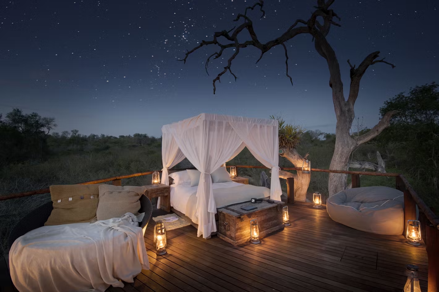 The magical Chalkley - a premier treehouse for safari stargazing