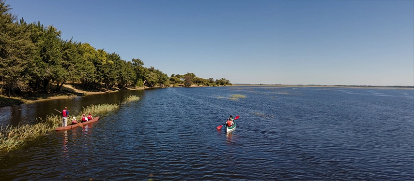 Canoeing near Chobe Marina Lodge with lush riverbank in view