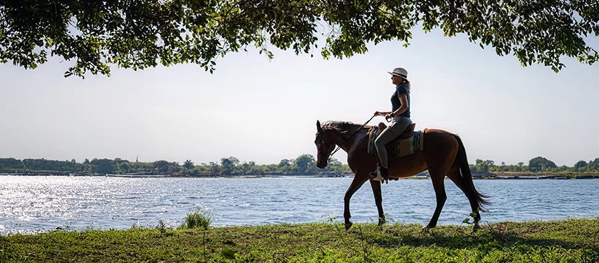 A guided horseback safari follows the Zambezi River banks near Chundukwa, offering a unique and intimate way to explore the landscape.