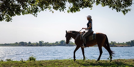 Rider on horseback following the Zambezi River under the shade of a tree at Chundukwa River Lodge.