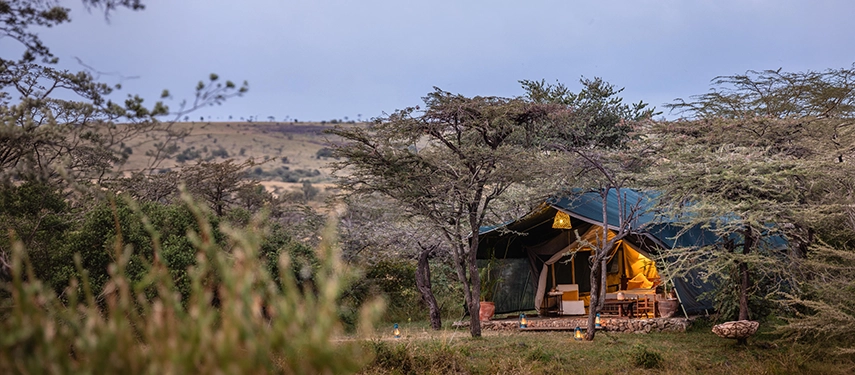 A classic safari tent at Hemingways River Camp Mara glows warmly at dusk, nestled among acacia scrub on the rolling hillside of the Mara North Conservancy.