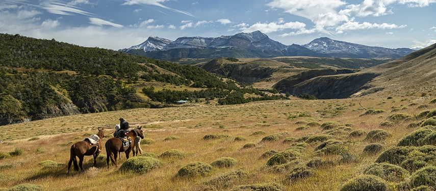 Two saddled horses stand in golden grasslands, surrounded by undulating Patagonian terrain and distant mountains.