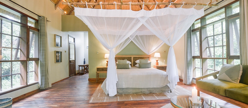 Interior of a double cottage at Primate Lodge Kibale with wide windows, natural wood floors, and forest views.