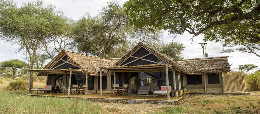 A spacious canvas family suite opens onto a wide veranda, blending natural textures with relaxed safari comfort beneath leafy shade.