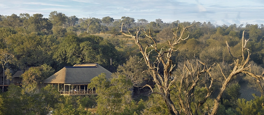 Thatched-roof main lodge of Londolozi Founders Camp surrounded by lush trees in the Sabi Sand Game Reserve.