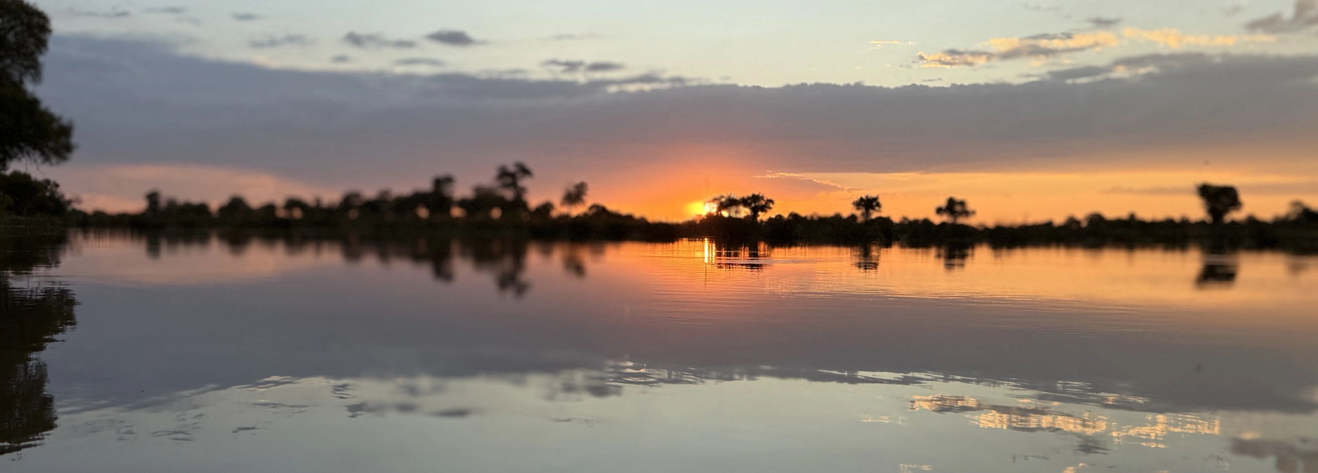 Sunset colours reflect across calm Okavango waters, silhouetted trees mirrored in the stillness of the delta.