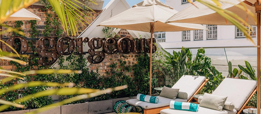 Rooftop sun loungers and umbrellas surrounded by greenery at Gorgeous George.