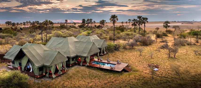 Aerial view of Jack’s Private Camp surrounded by palms and bushland with its private swimming pool visible on the deck.