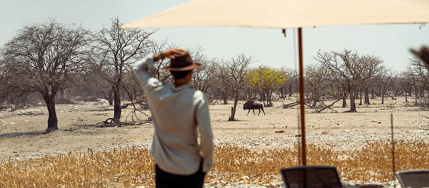 A guest in a hat observing wildlife from the shaded terrace of Safari House.