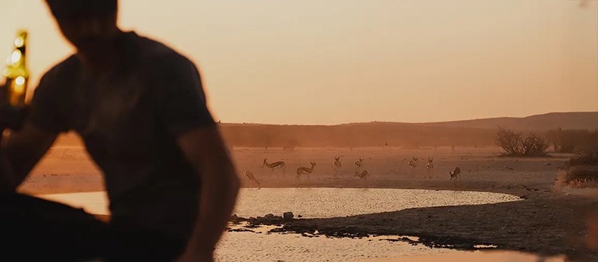 Silhouette of a person enjoying sundowners while springbok gather at a waterhole in the evening light.