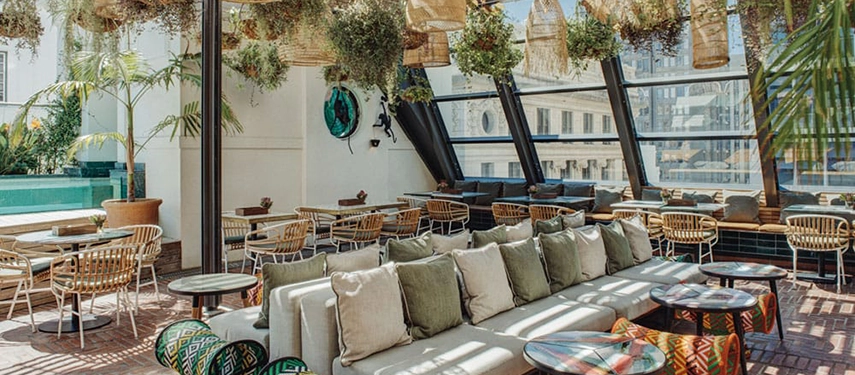 Rooftop dining at Gigi with natural light, woven furnishings, and hanging greenery.