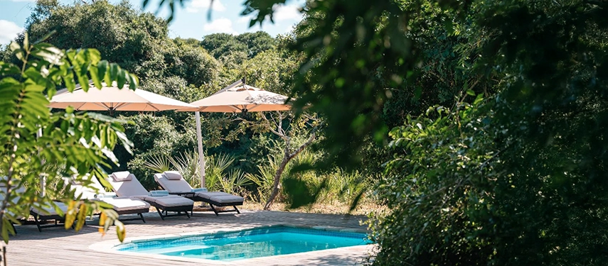 A secluded swimming pool sits among trees and shrubs, blending naturally into Gorongosa’s forest setting.